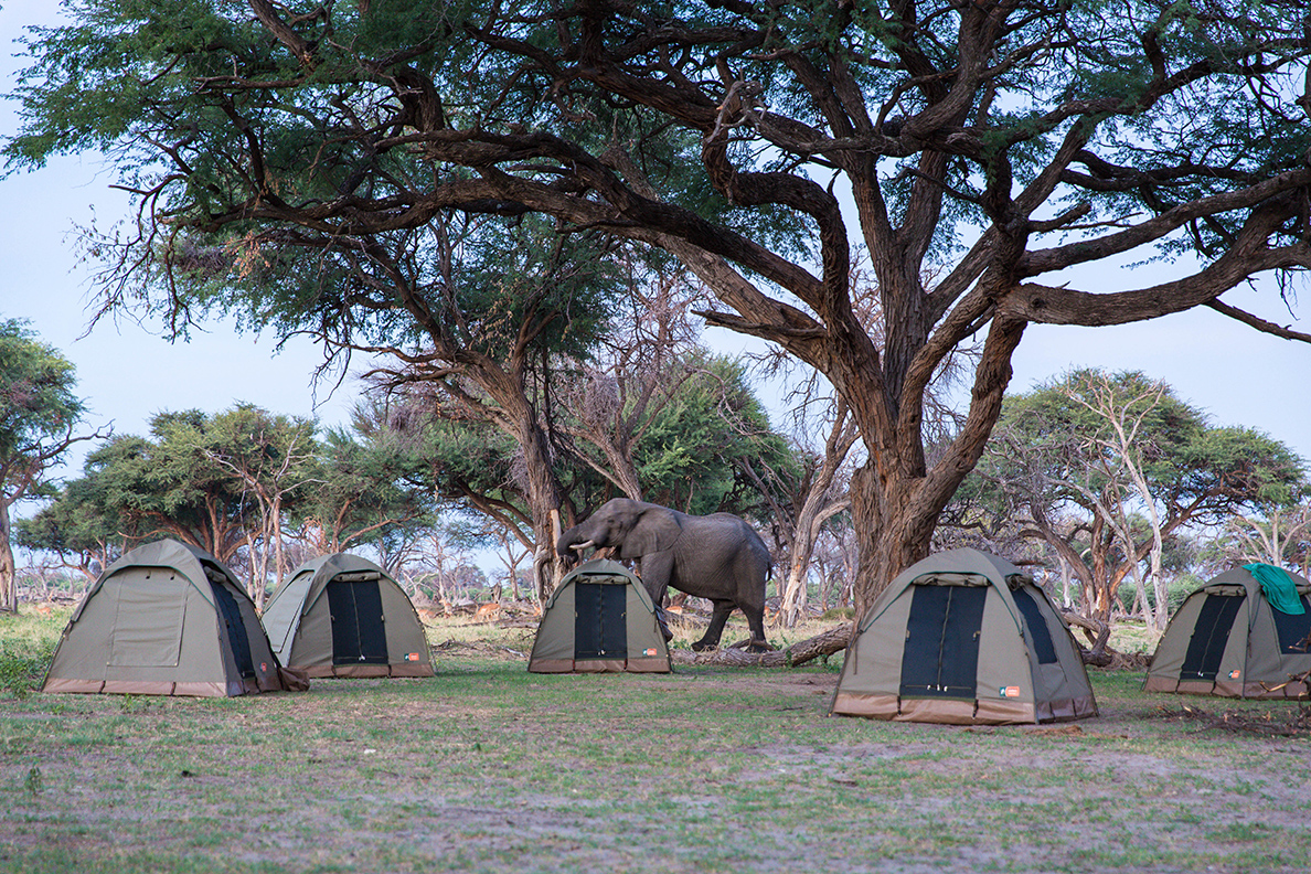 Bushways - Besuch im Camp