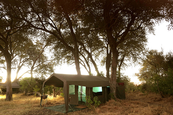 Northern Highlights - Camp in der Wildnis