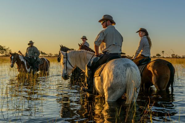 Reitsafari im Okavango Delta