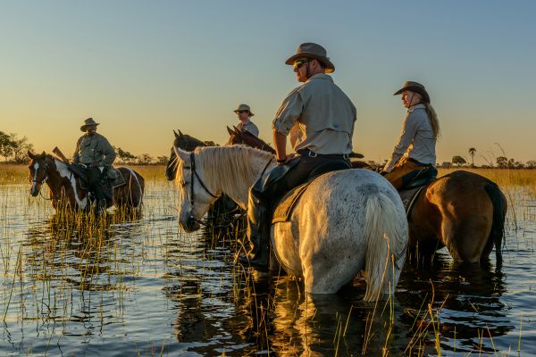 Reitsafari Okavango Delta | 4 Tage Botswana