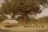 Wasserwege - Camp in der Wildnis