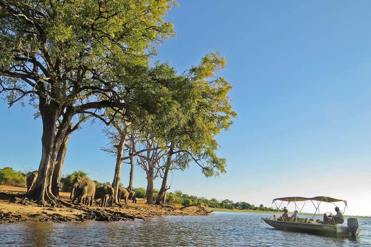 Wild Parks of Botswana 