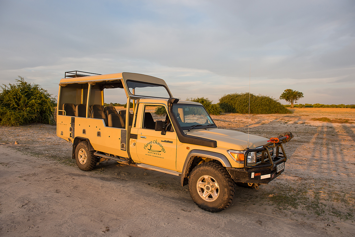 Wild Parks of Botswana