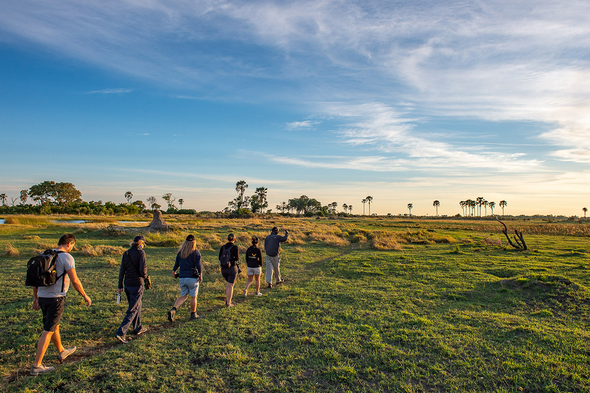 Wild Parks of Botswana
