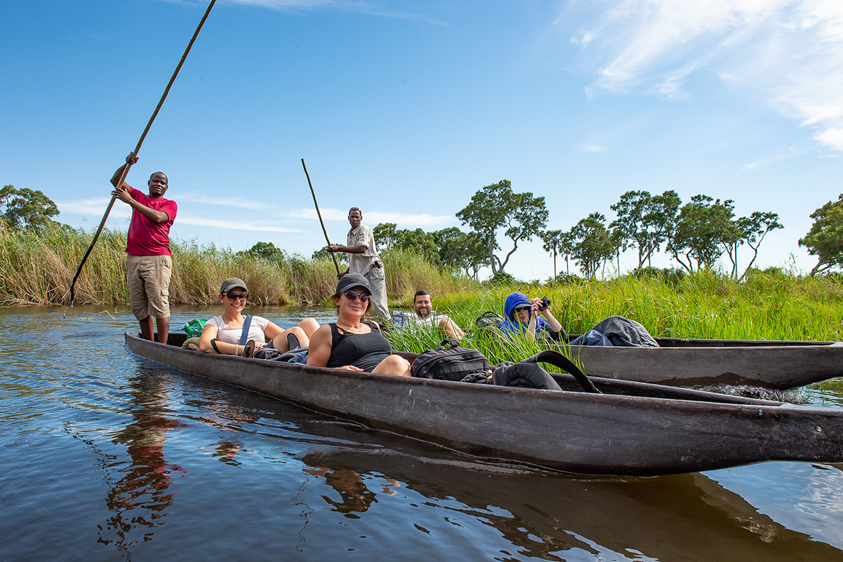 Wild Parks of Botswana