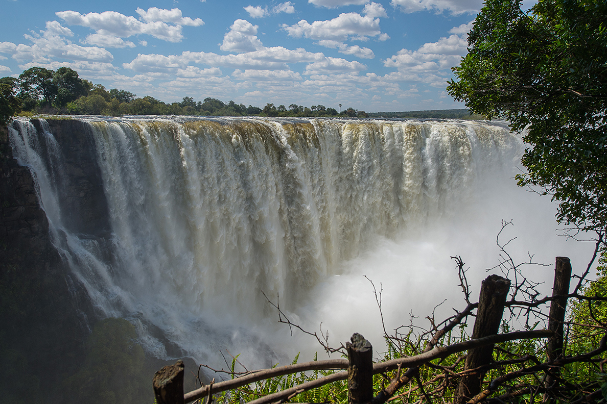 Wild Parks of Botswana