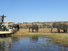 Wild Parks of Botswana - Bootsfahrt auf dem Chobe River
