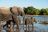 Wild Parks of Botswana