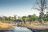 Wild Parks of Botswana