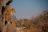 Wild Parks of Botswana