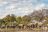Wild Parks of Botswana