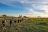 Wild Parks of Botswana
