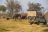 Wild Parks of Botswana
