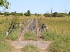 Botswana Highlights Self Drive - Brücke im Moremi Game Reserve