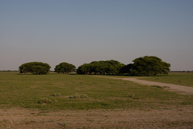 Der Süden von Botswana - Central Kalahari Game Reserve