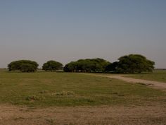 Der Süden von Botswana - Central Kalahari Game Reserve
