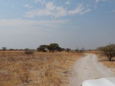 Der Süden von Botswana - Piste im Central Kalahari Game Reserve