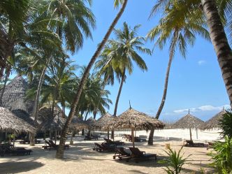 Pinewood Beach Resort - Strand Pinewood Beach Resort - Strand