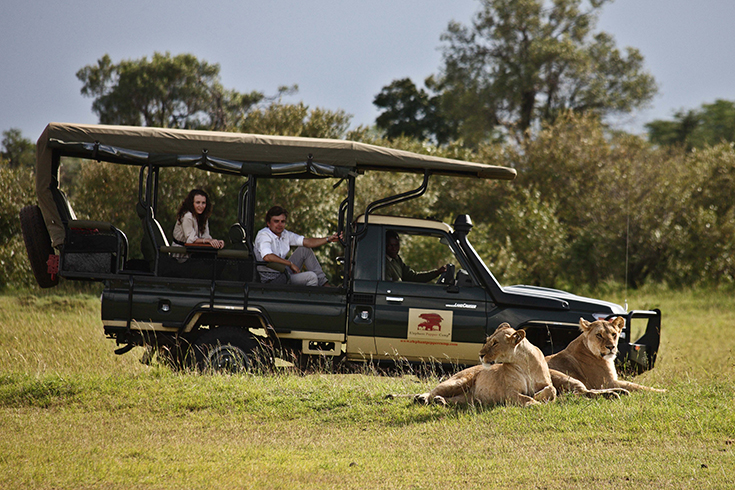 Elephant Pepper Camp - Pirschfahrt in der Masai Mara