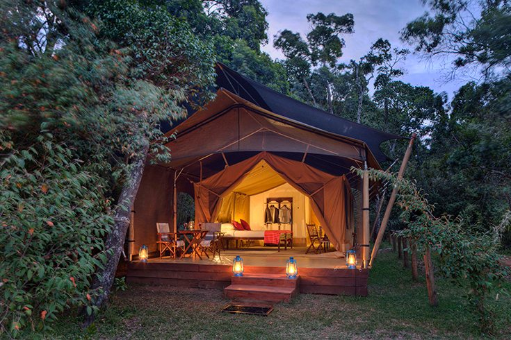 Elephant Pepper Camp - Zelt Zimmer