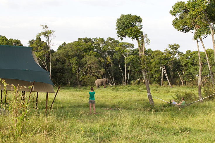 Elephant Pepper Camp