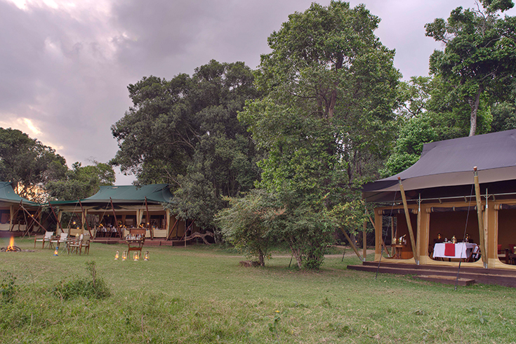 Elephant Pepper Camp