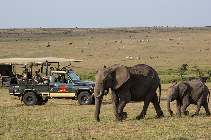 Elephant Pepper Camp - Pirschfahrt in der Masai Mara