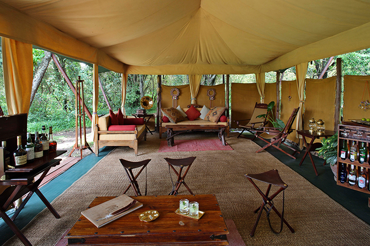 Elephant Pepper Camp