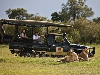 Elephant Pepper Camp - Pirschfahrt in der Masai Mara Elephant Pepper Camp - Pirschfahrt in der Masai Mara