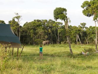 Elephant Pepper Camp Elephant Pepper Camp