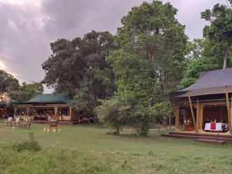 Elephant Pepper Camp Elephant Pepper Camp