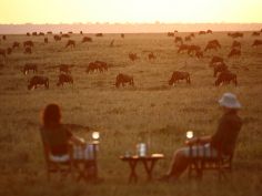 Elephant Pepper Camp - Sundowner in der Masai Mara