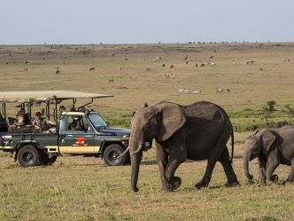 Elephant Pepper Camp - Pirschfahrt in der Masai Mara Elephant Pepper Camp - Pirschfahrt in der Masai Mara