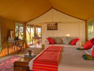 Elephant Pepper Camp - Familienzelt Elephant Pepper Camp - Familienzelt