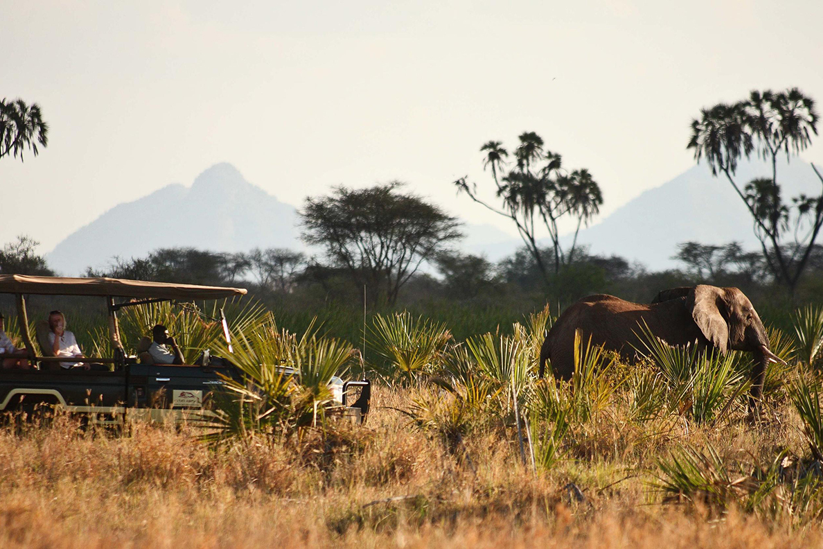 Elsa's Kopje - Game Drive