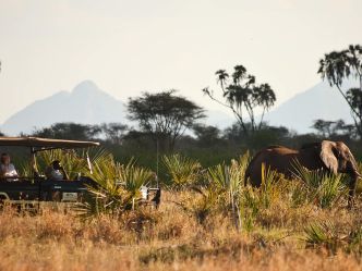 Elsa's Kopje - Game Drive Elsa's Kopje - Game Drive