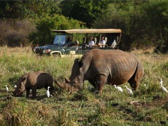 Elsa's Kopje - Game Drive Elsa's Kopje - Game Drive