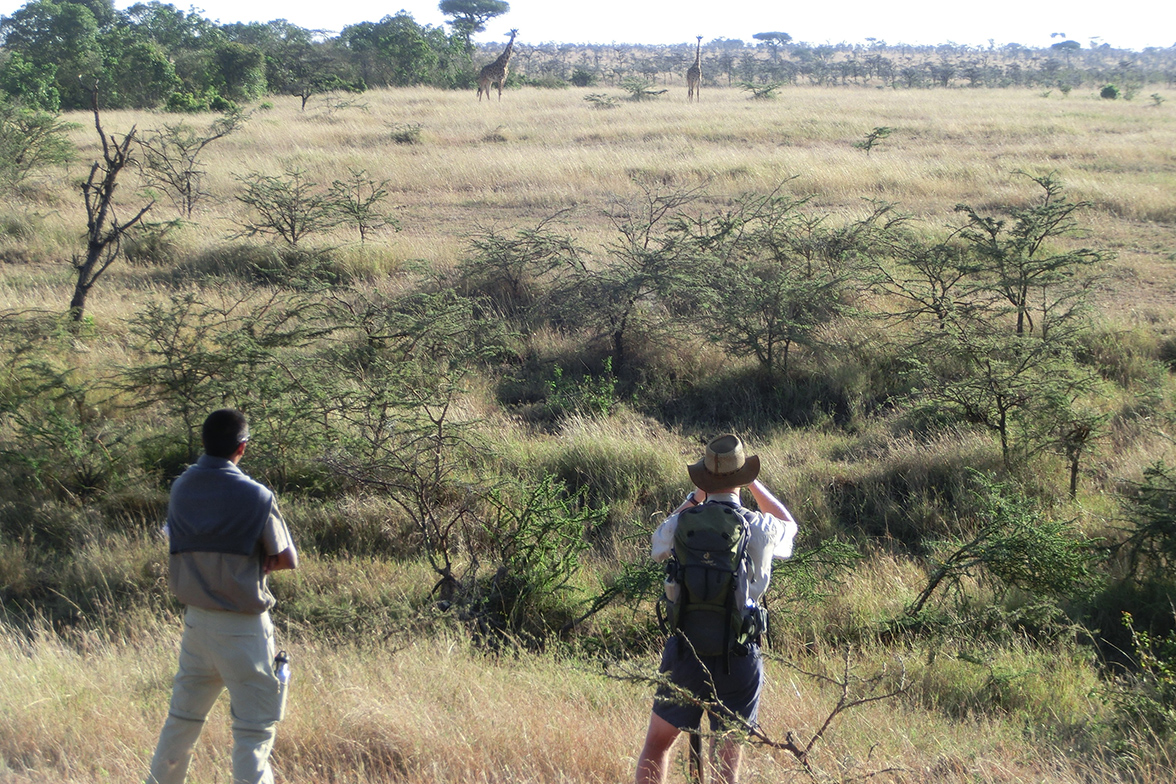 Encounter Mara Camp - Bush Walk