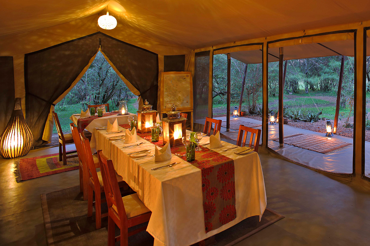 Encounter Mara Camp - Dinner