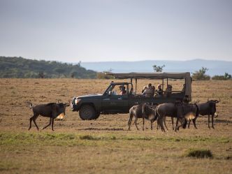 Encounter Mara Camp - Pirschfahrt Encounter Mara Camp - Pirschfahrt