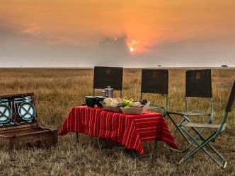 Entim Mara - Picknick in der Wildnis Entim Mara - Picknick in der Wildnis