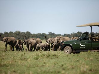 Kichwa Tembo - Game Drive Kichwa Tembo - Game Drive