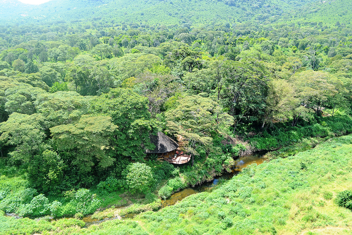 Kitich Forest Camp - Ansicht 