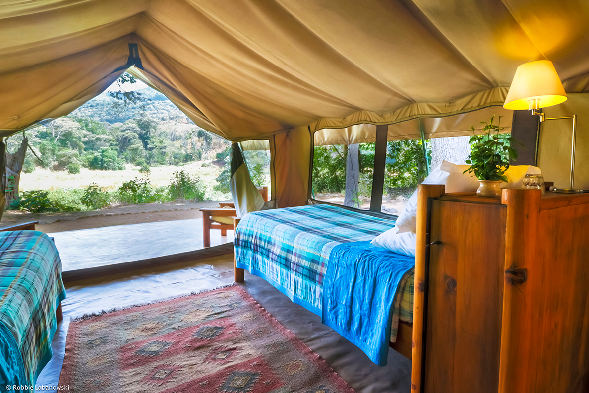 Kitich Forest Camp - zelt 2