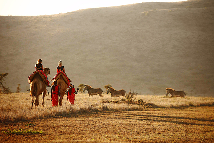 Lewa Safari Camp - Reitausflug mit Kamelen