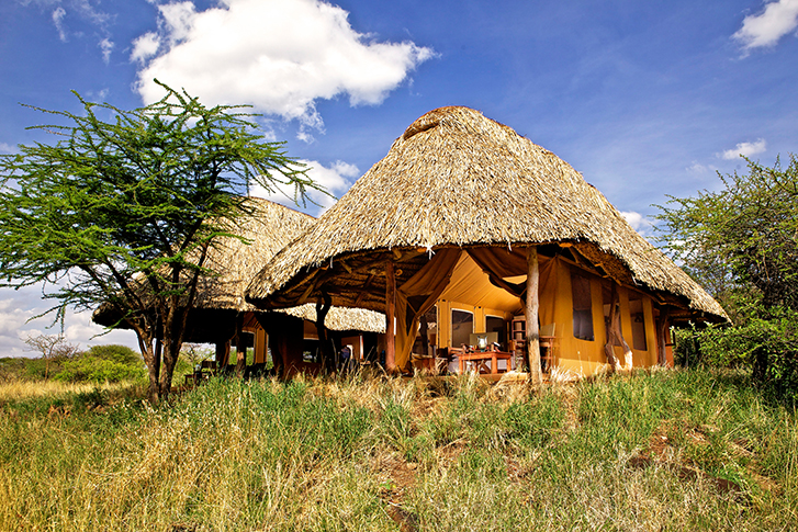 Lewa Safari Camp - Familien-Zelt