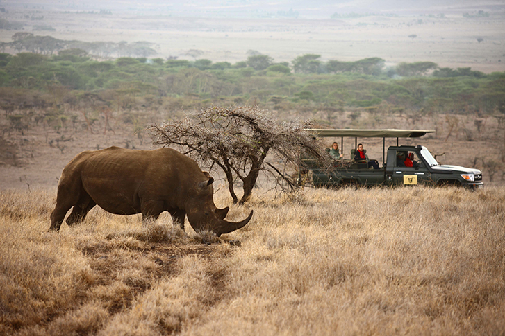 Lewa Safari Camp - Pirschfahrt