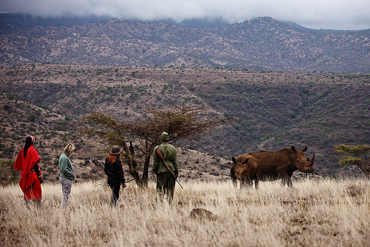 Lewa Safari Camp - Bush Walk