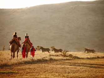 Lewa Safari Camp - Reitausflug mit Kamelen Lewa Safari Camp - Reitausflug mit Kamelen