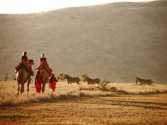 Lewa Safari Camp - Reitausflug mit Kamelen